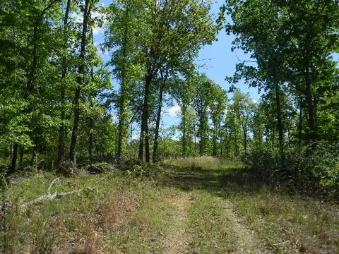 0 Ogden Road