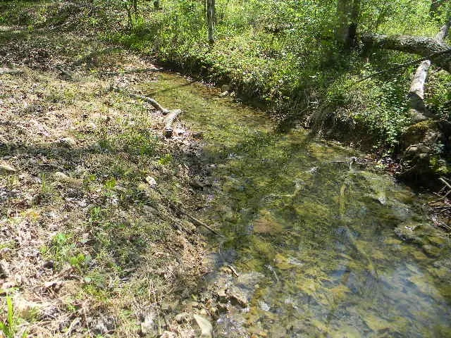 0 Ogden Road Waverly, TN 37185
