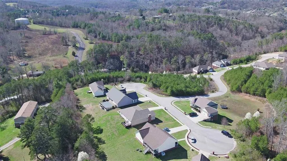 132 Nicole Drive Dayton, TN 37321
