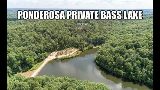 0 Ridgeway Drive Sugar Tree, TN 38380