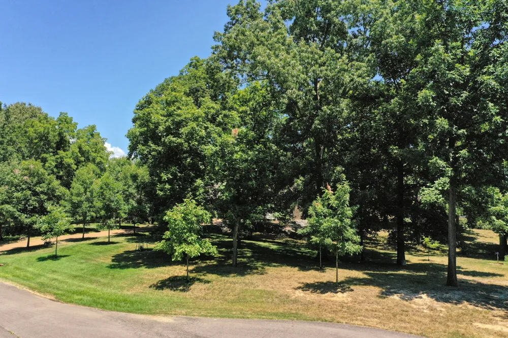 93 Tamatha Dr Paris, TN 38242
