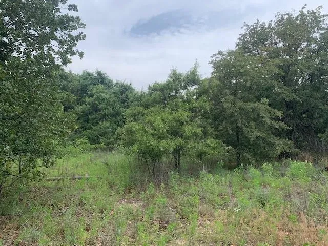3 Boyd Road Azle, TX 76020
