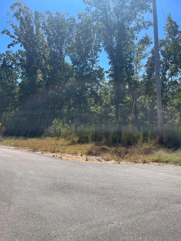 0 Beach Bluff Ln Huntingdon, TN 38344