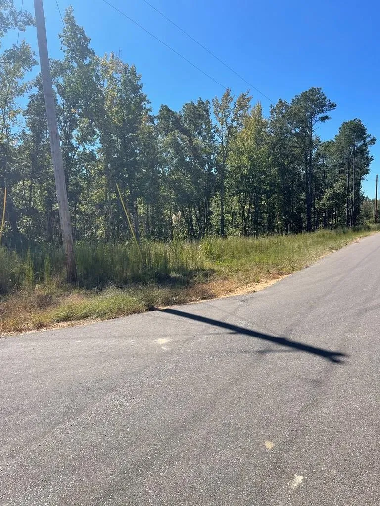 0 Beach Bluff Ln Huntingdon, TN 38344