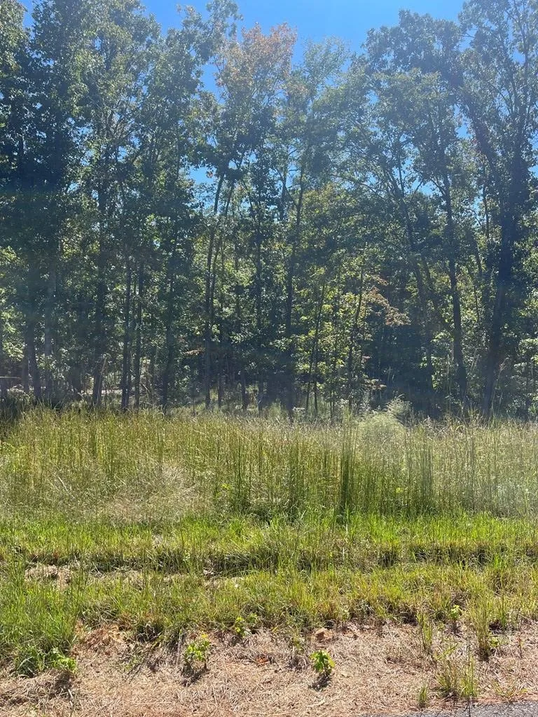 0 Beach Bluff Ln Huntingdon, TN 38344