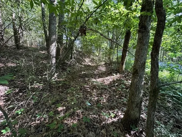 0 Cummins Rd Eva, TN 38333