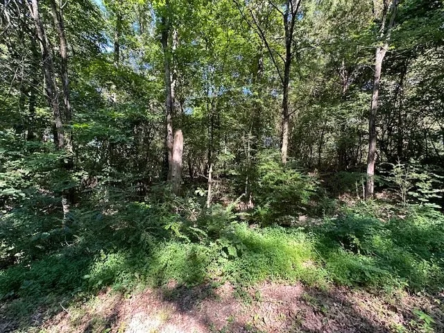 0 Cummins Rd Eva, TN 38333