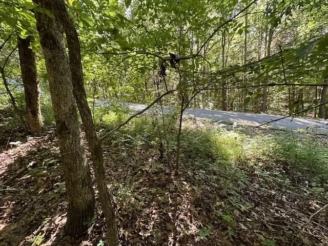 0 Cummins Rd Eva, TN 38333