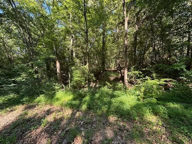 0 Cummins Rd Eva, TN 38333