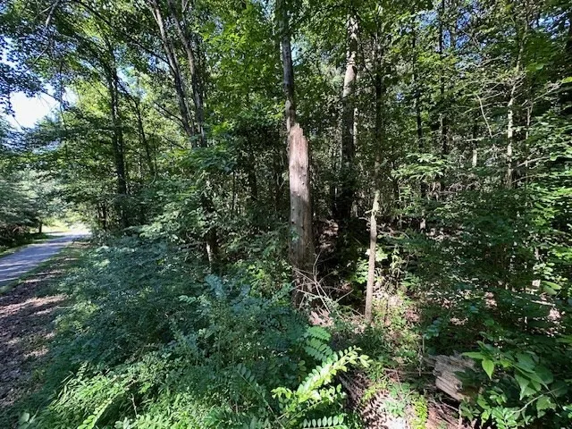 0 Cummins Rd Eva, TN 38333