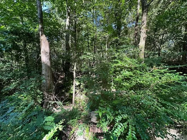 0 Cummins Rd Eva, TN 38333