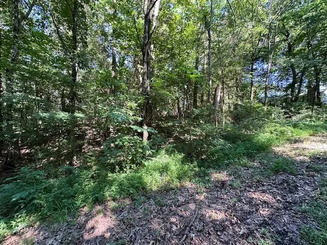 0 Cummins Rd Eva, TN 38333