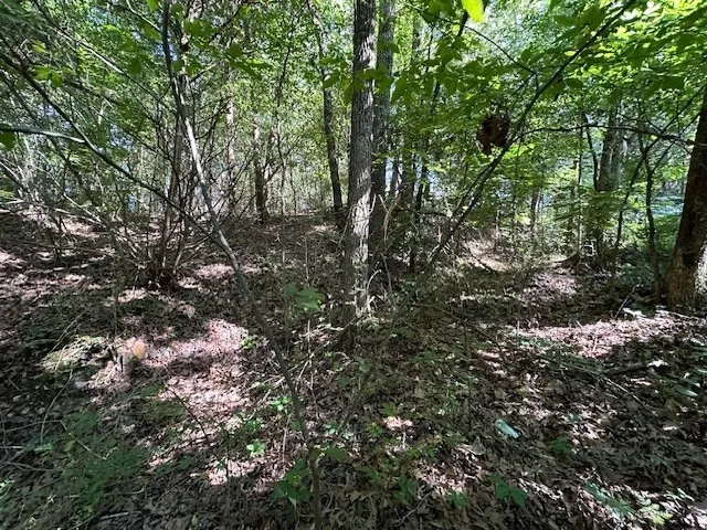 0 Cummins Rd Eva, TN 38333