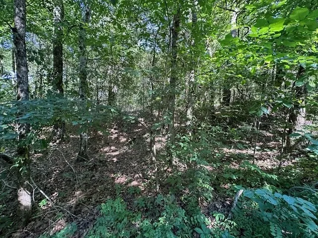 0 Cummins Rd Eva, TN 38333
