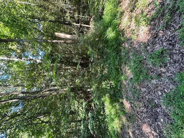 0 Cummins Rd Eva, TN 38333