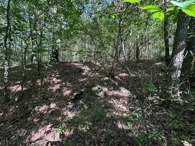 0 Cummins Rd Eva, TN 38333
