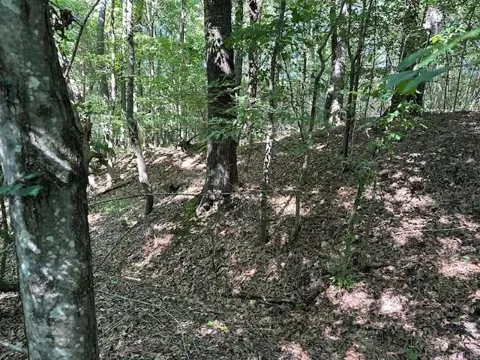 0 Cummins Rd