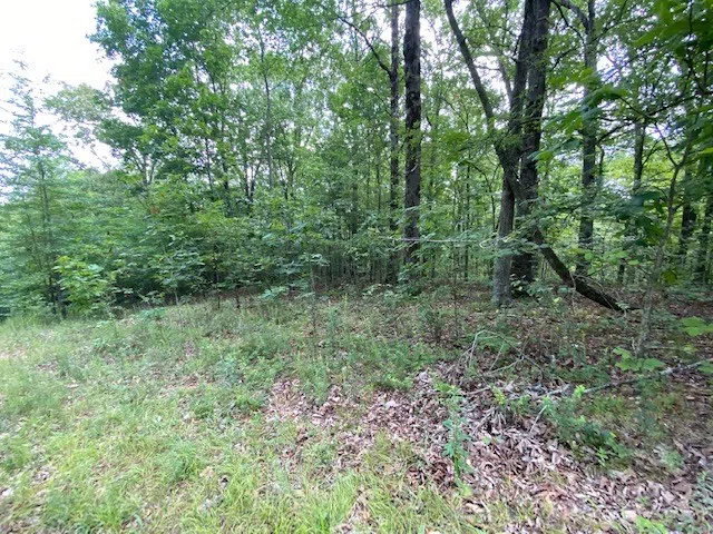 0 Eagle Nest Ln Big Sandy, TN 38221