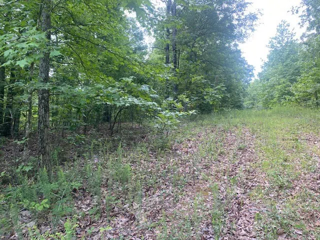 0 Eagle Nest Ln Big Sandy, TN 38221