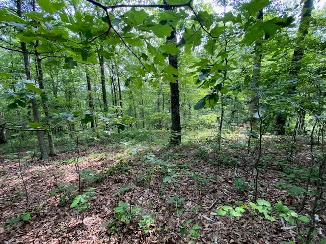 0 Eagle Nest Ln Big Sandy, TN 38221