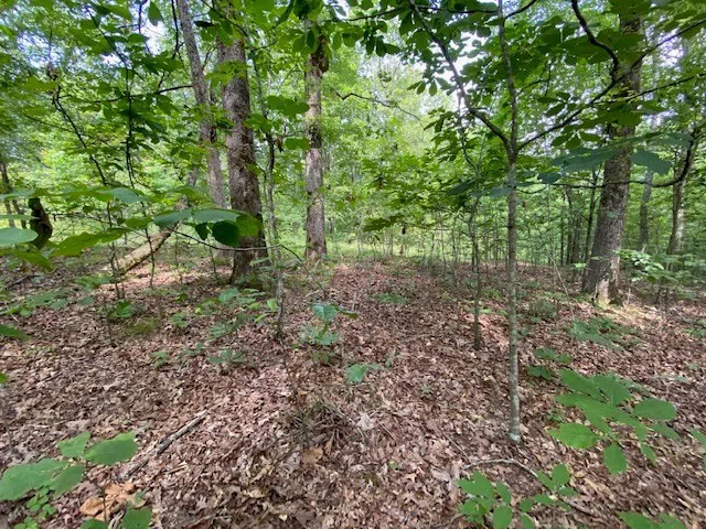 0 Eagle Nest Ln Big Sandy, TN 38221