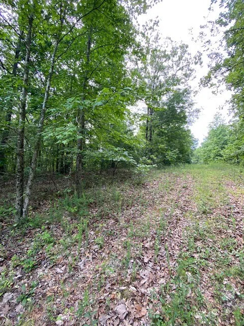 0 Eagle Nest Ln Big Sandy, TN 38221