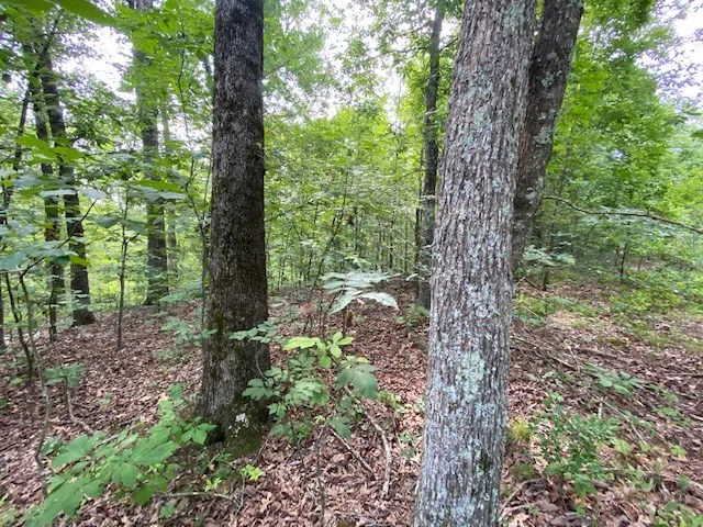 0 Eagle Nest Ln Big Sandy, TN 38221