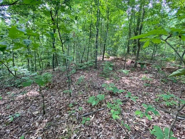 0 Eagle Nest Ln Big Sandy, TN 38221