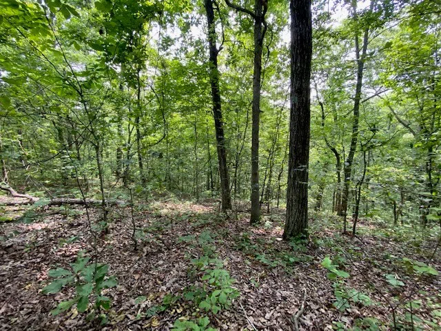 0 Eagle Nest Ln Big Sandy, TN 38221
