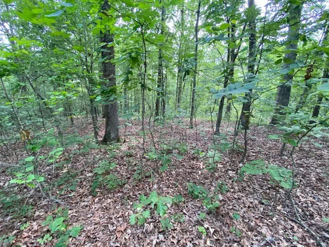 0 Eagle Nest Ln Big Sandy, TN 38221