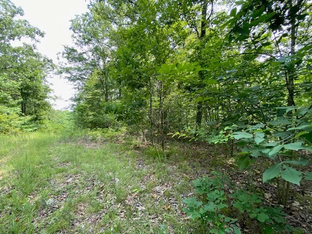0 Eagle Nest Ln Big Sandy, TN 38221