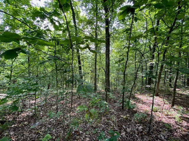 0 Eagle Nest Ln Big Sandy, TN 38221