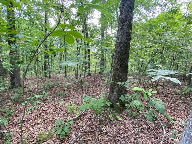 0 Eagle Nest Ln Big Sandy, TN 38221