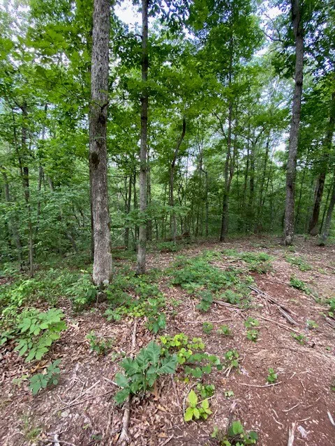 0 Eagle Nest Ln Big Sandy, TN 38221