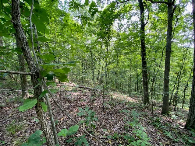 0 Eagle Nest Ln Big Sandy, TN 38221