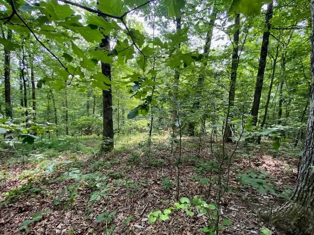 0 Eagle Nest Ln Big Sandy, TN 38221