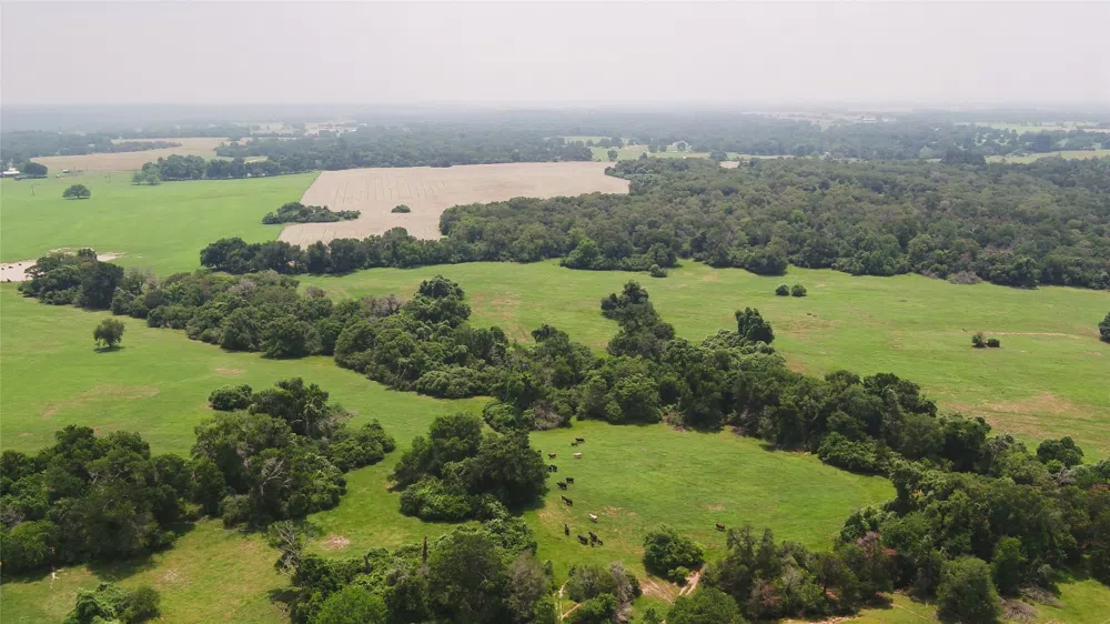 CR 316 Caldwell, TX 77836