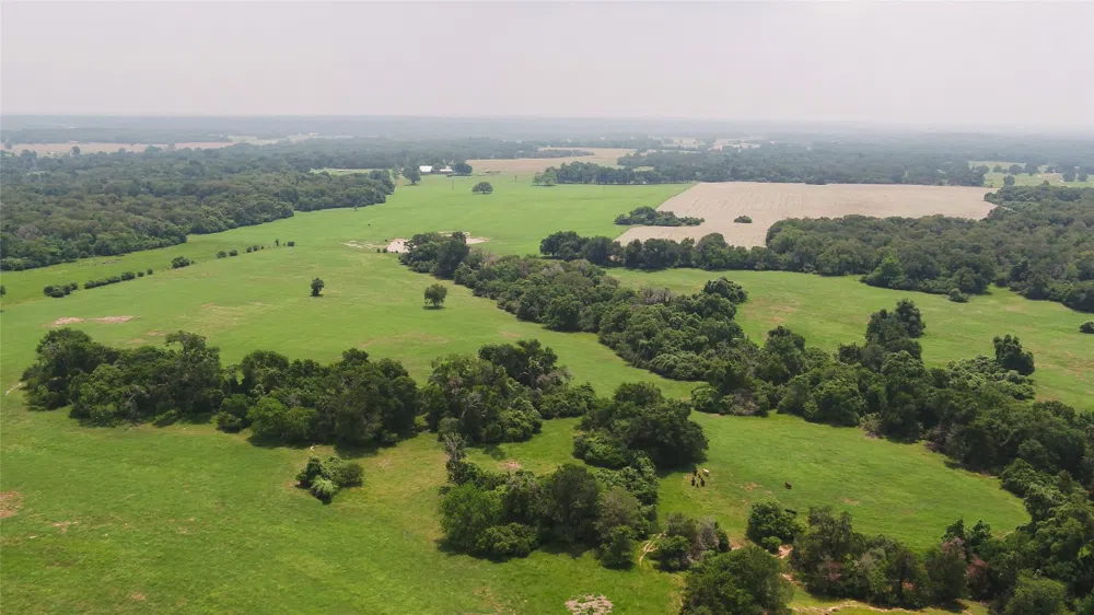 CR 316 Caldwell, TX 77836