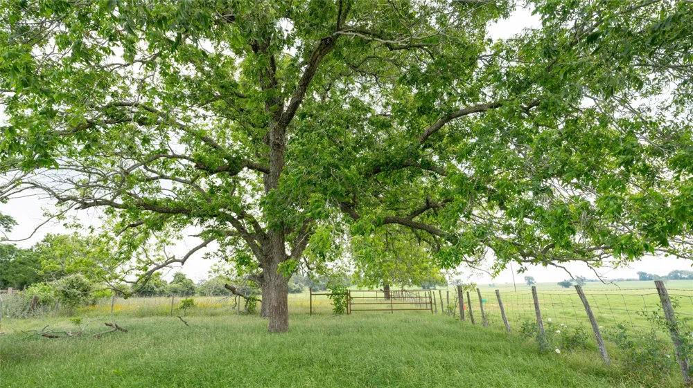 CR 316 Caldwell, TX 77836