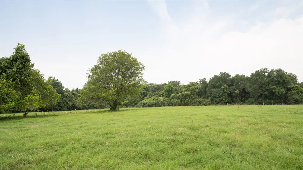 CR 316 Caldwell, TX 77836
