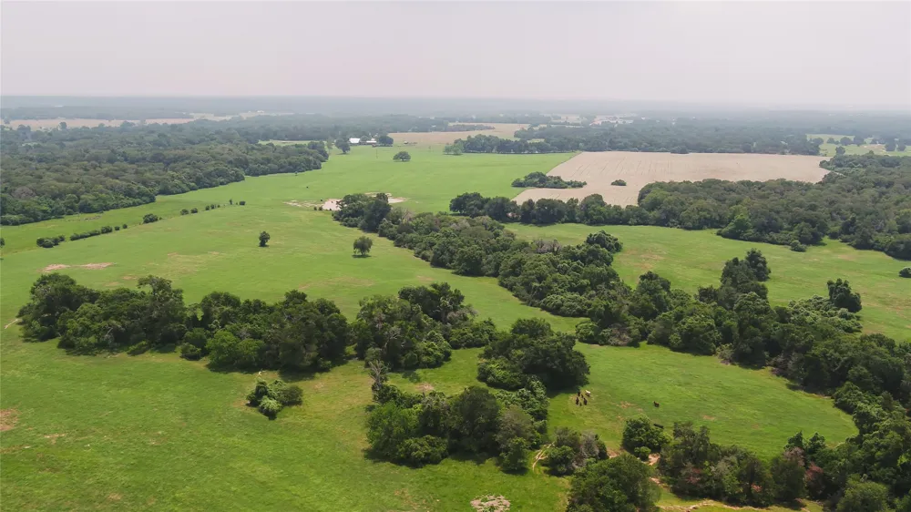 CR 316 Caldwell, TX 77836