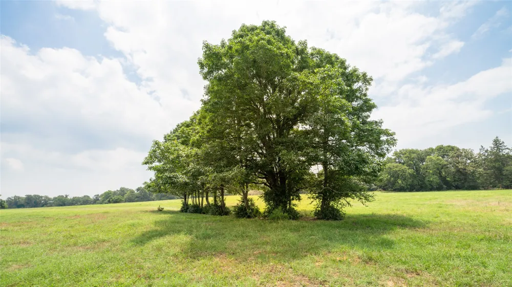 CR 316 Caldwell, TX 77836