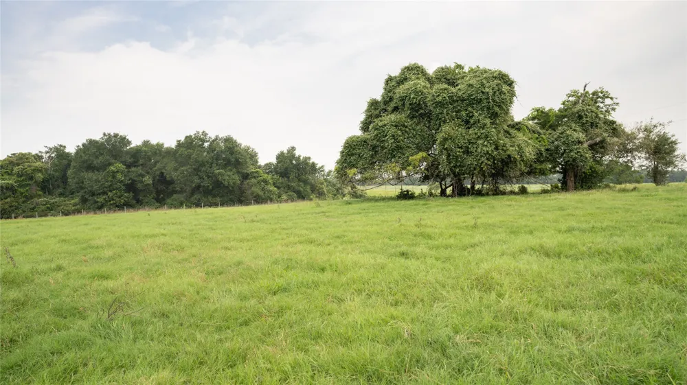 CR 316 Caldwell, TX 77836