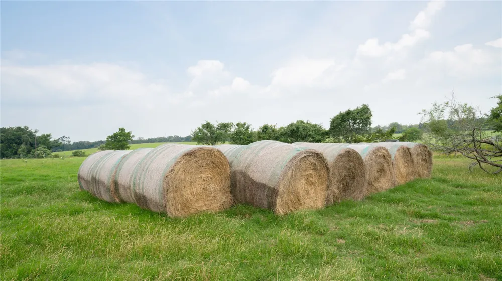 CR 316 Caldwell, TX 77836