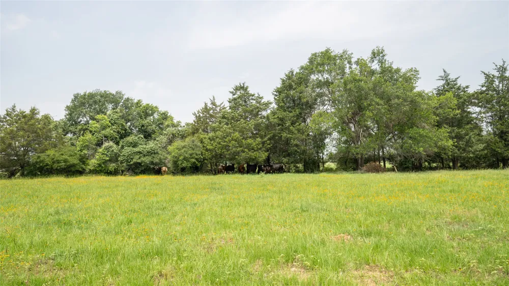 CR 316 Caldwell, TX 77836