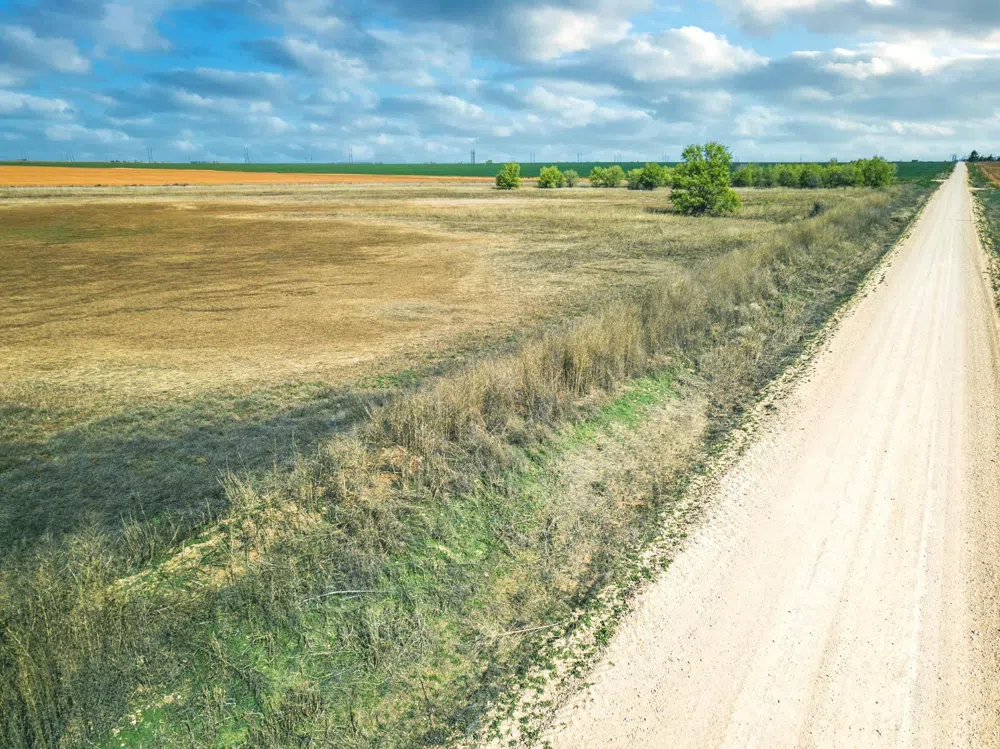4101 Hawk Ropesville, TX 79358