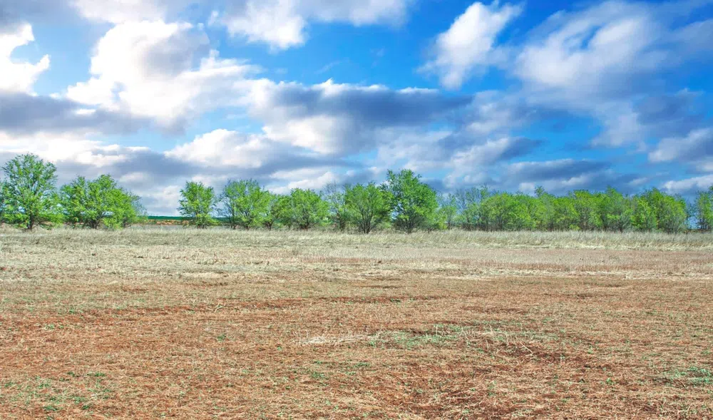 4101 Hawk Ropesville, TX 79358