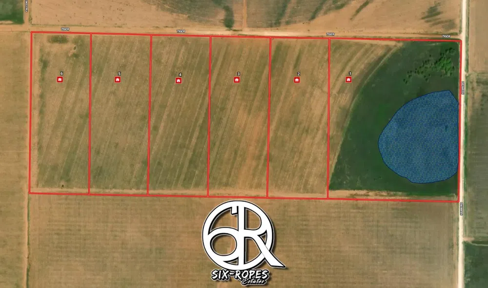 4101 Hawk Ropesville, TX 79358