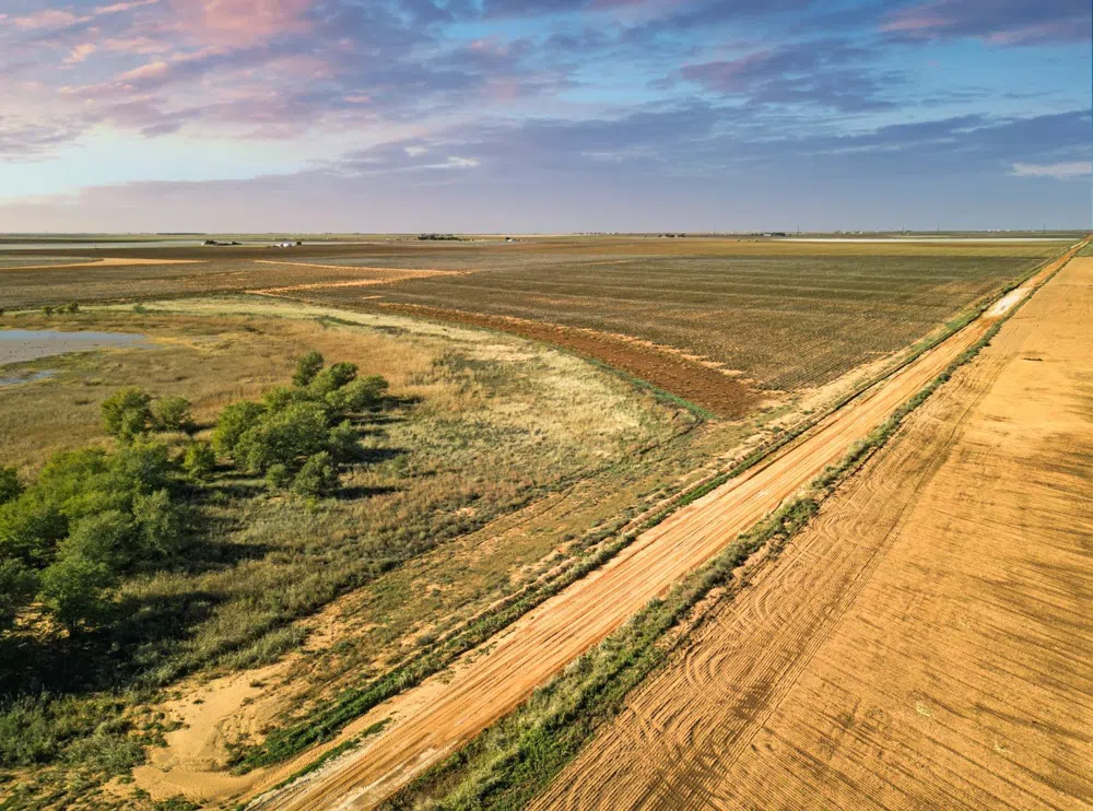 5985 Tiger Ropesville, TX 79358