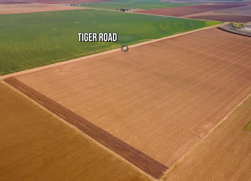5985 Tiger Ropesville, TX 79358
